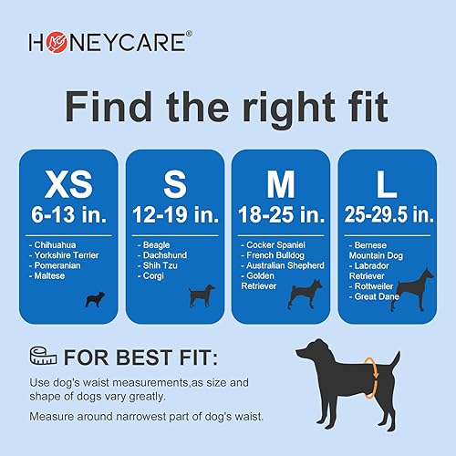 Miniatura 21 de HONEY CARE All-Absorb A26 - Envoltura para perro macho, 50 unidades, pequeña