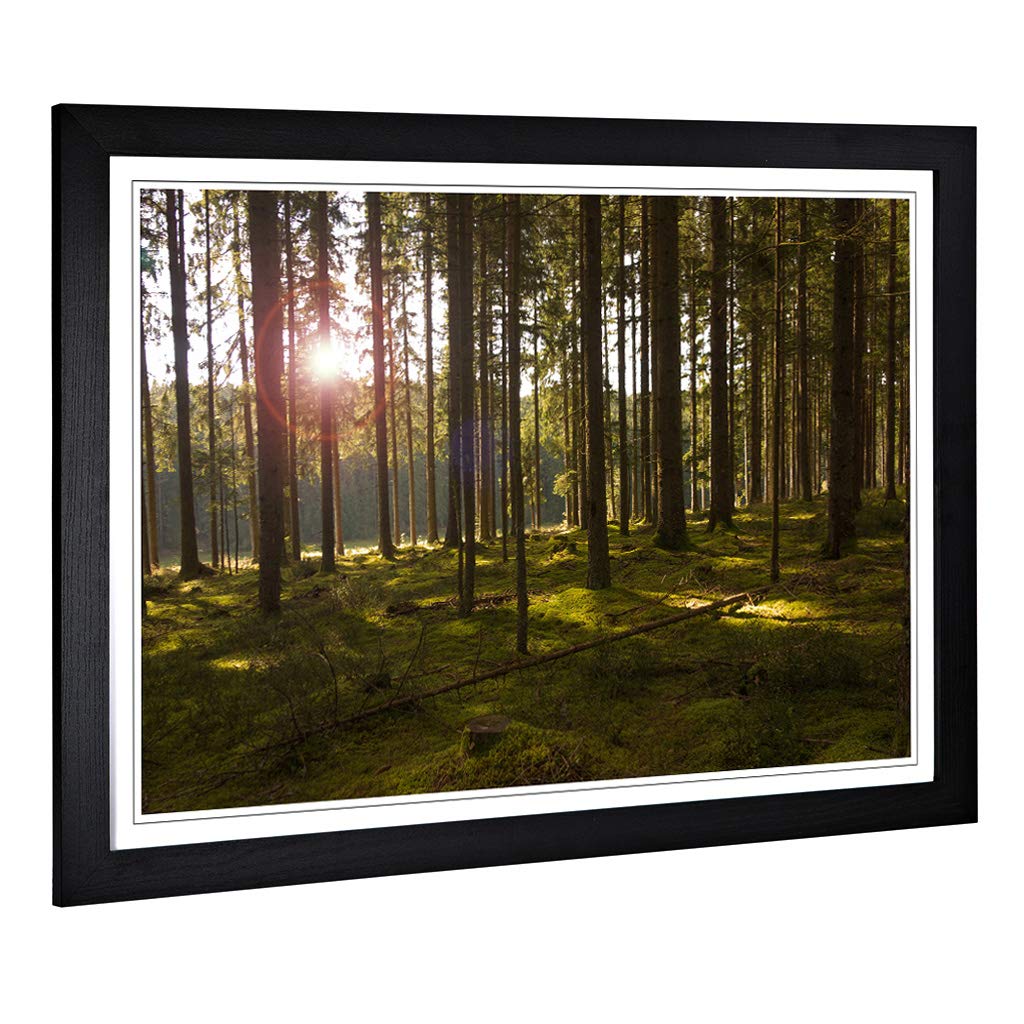 Big Box Art Framed Print of Landscape Sunlight Through Forest Woodland (3) Design | Wall Art Picture| Home Decor for Kitchen, Living Room, Bedroom, Hallway, Black, A2 / 24.5x18 Inch / 62x45cm