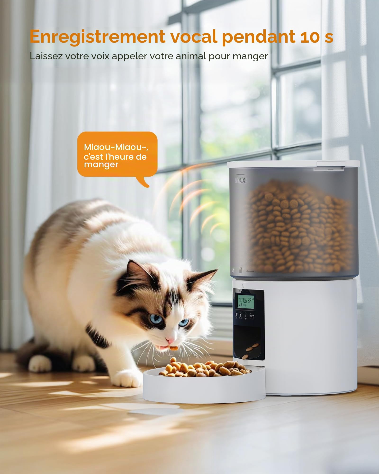 Distributeur Croquettes Chat Automatique: 4L Distributeur Croquettes Chat avec Minuterie Programmable - 1-6 Repas par Jour - avec Appuyez sur Le Couvercle et Fonction D'Enregistrement 10s Blanc
