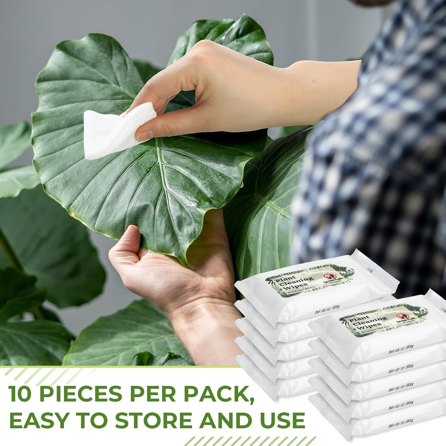 Nuanchu 12 Pack Plants Cleaning Wipes for Indoor Plants, Plant Leaf Cleaner and Shine Wipe, Unscented Thick Photosynthesis Wipes Leaf Cleaner for House Indoor & Outdoor (120ct)