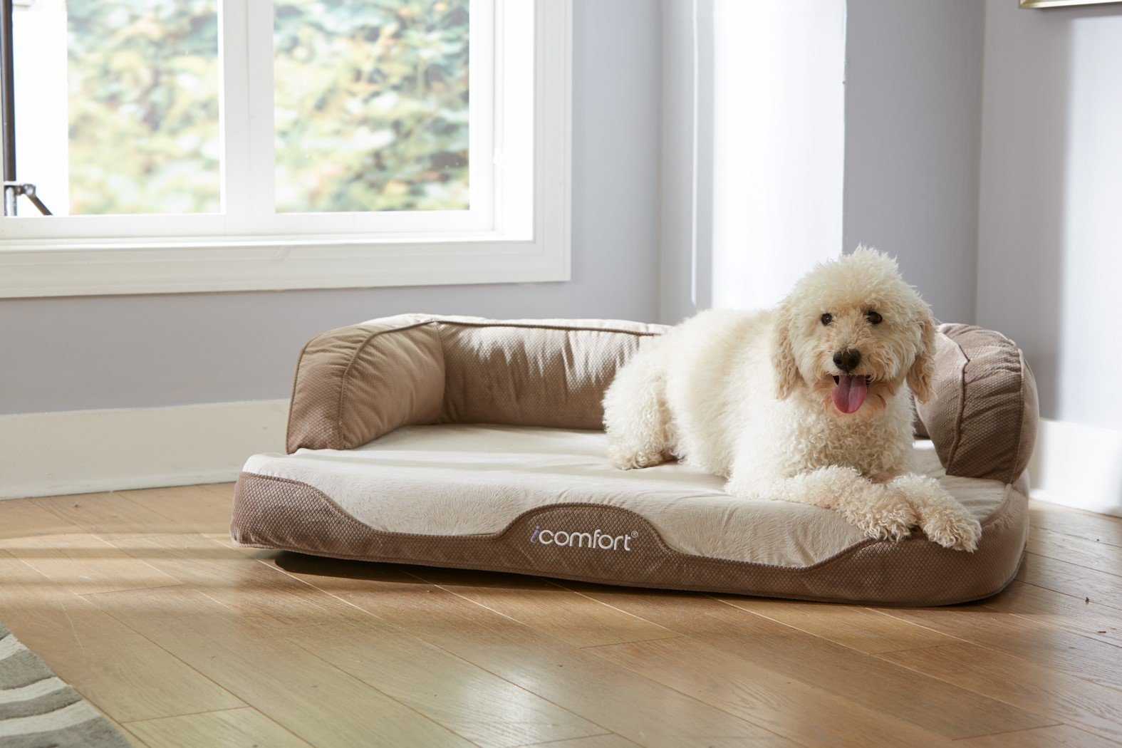 icomfort sleeper pet bed