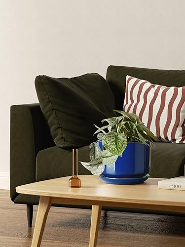 Miniatura 3 de LE TAUCI - Macetas de 4.5 pulgadas y 5.3 pulgadas y 6.5 pulgadas maceta con agujeros de drenaje y platillos de cerámica, con bandeja, macetas de