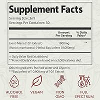 Vista 7 de Auri Elixir líquido de melena de león - Suplementos cerebrales para la memoria y la concentración con hongos funcionales - Suplemento de melena