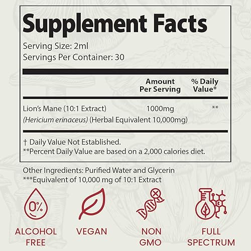 Miniatura 7 de Auri Elixir líquido de melena de león - Suplementos cerebrales para la memoria y la concentración con hongos funcionales - Suplemento de melena de