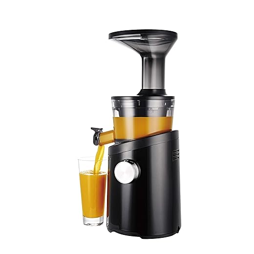 Hurom H101 Easy Clean Masticating Slow Juicer - Matte Silver