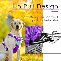 Vista 2 de ThinkPet Juego de arnés deportivo transpirable con asa, chaleco de seguridad acolchado reflectante para perro con correa reflectante de neón