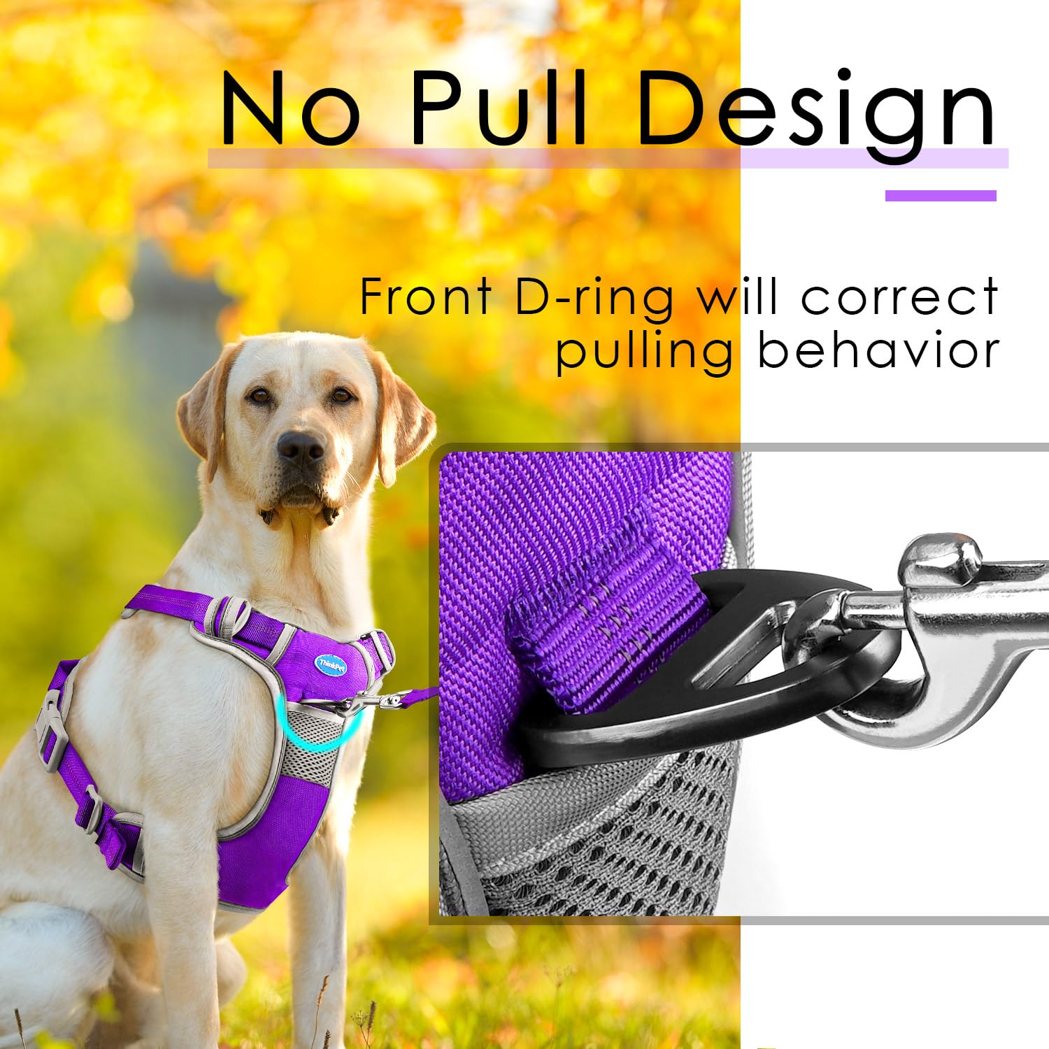 ThinkPet No Pull Harness Breathable Sport Harness with Handle-Dog Harnesses Reflective Adjustable for Medium Large Dogs,Back/Front Clip for Easy Control Purple Harness Leash Set S - Image 3