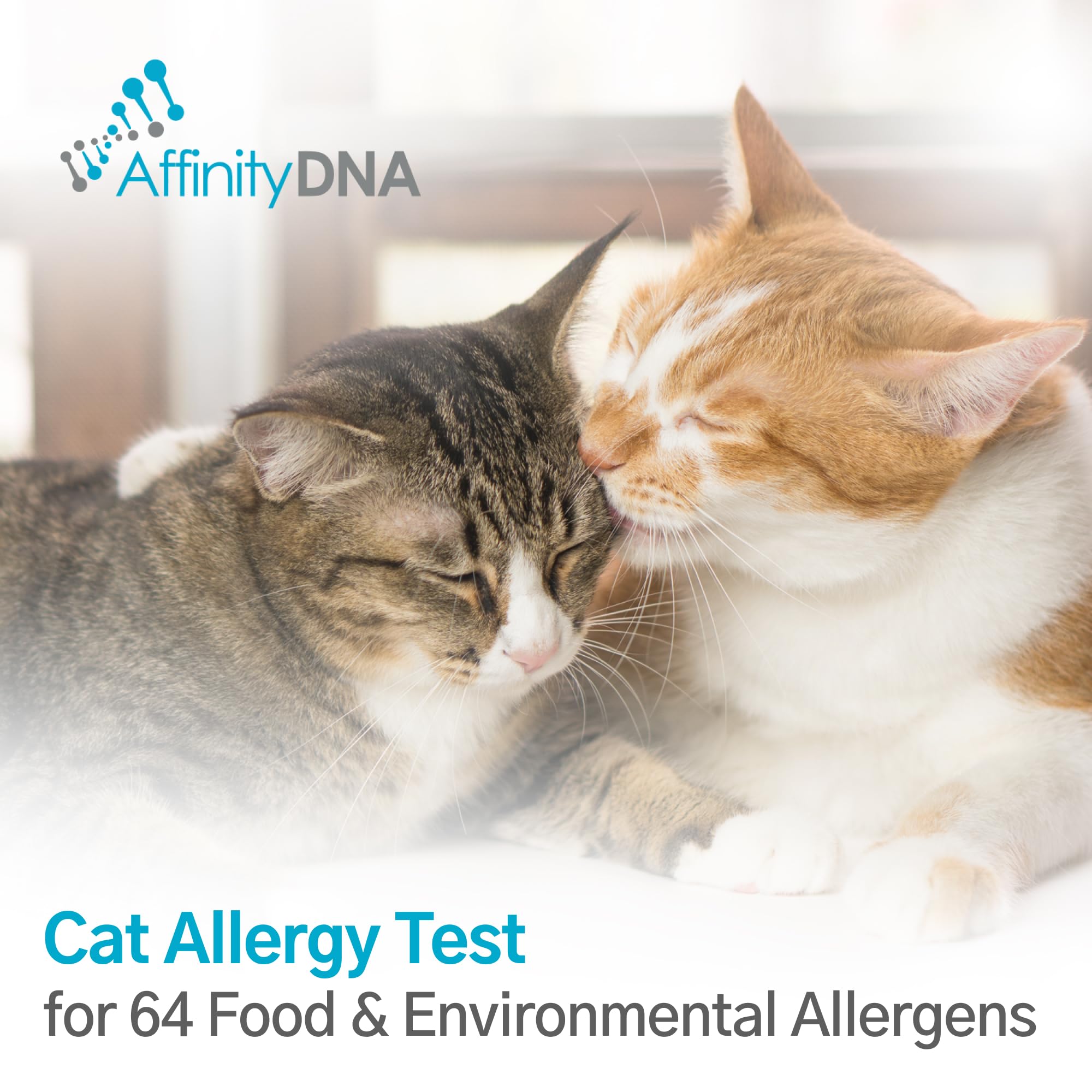 AffinityDNA Cat Allergy Test for 64 Allergens, Cat Allergy Test Kit - 64 Allergens - Image 2