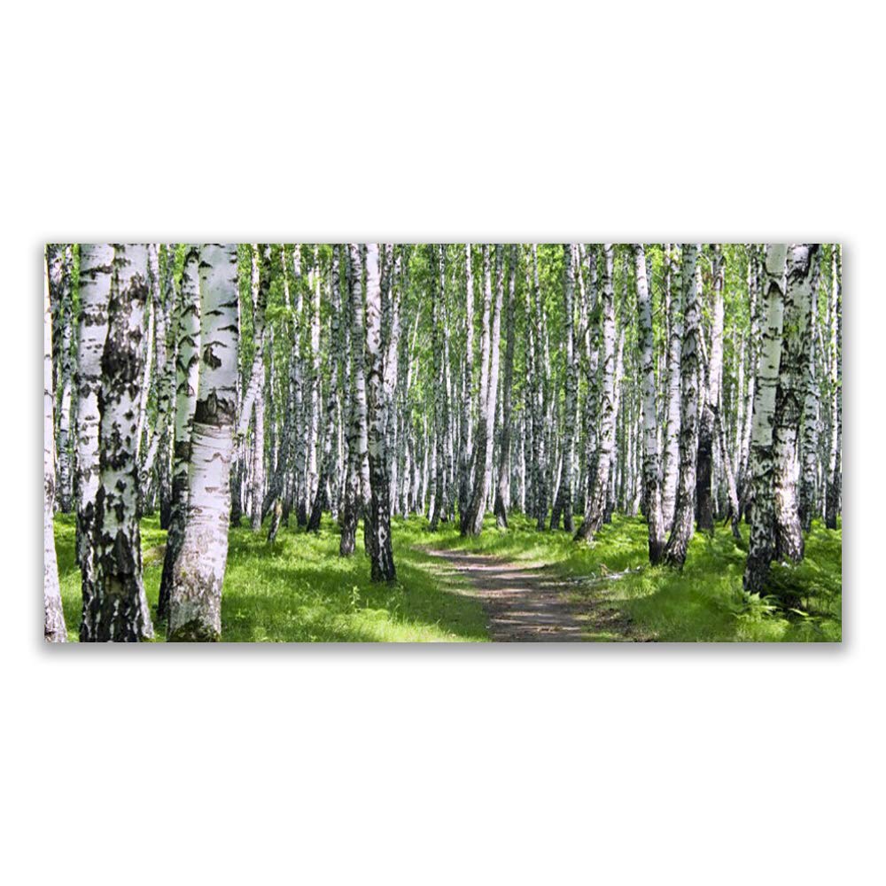 Verre Trempé Imprimé 120x60cm Tulup Tableau Mural Facile à Nettoyer