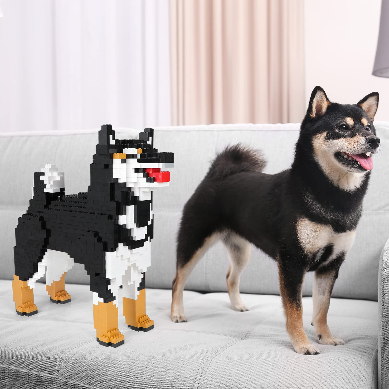 Amazon.co.jp: EP EXERCISE N PLAY 大型犬ビルディングブロックセット