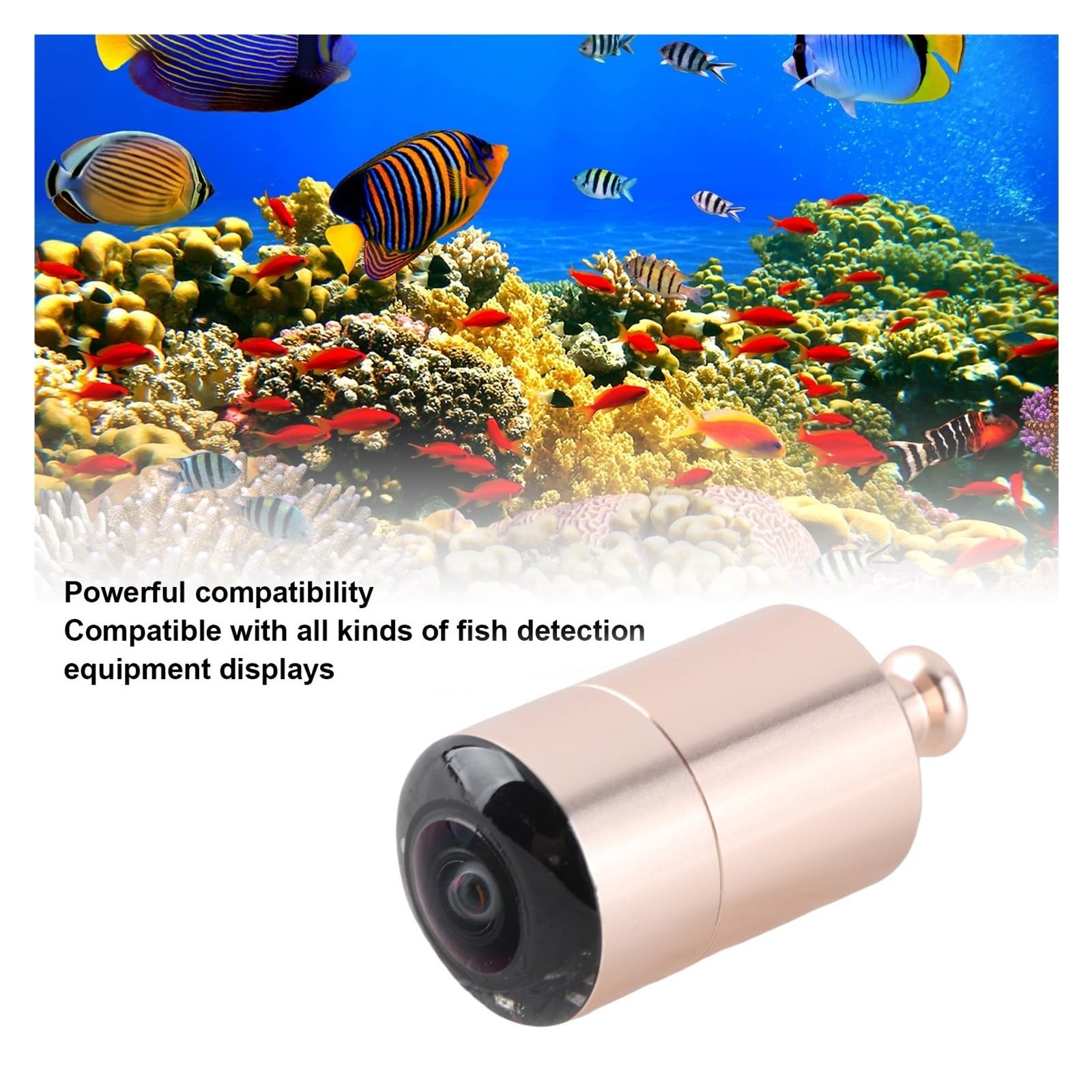 Detector de Peces, Buscador de cámara detección Peces Píxeles HD bajo el Agua con luz infrarroja