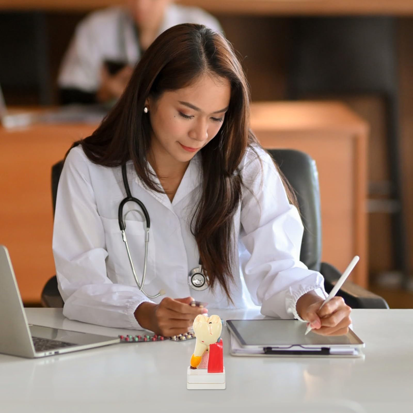 Zerodeko Modèle Anatomique de Carie Dentaire Beige en Résine Portable pour Démonstration Professionnelle des Soins Dentaires par Dentistes