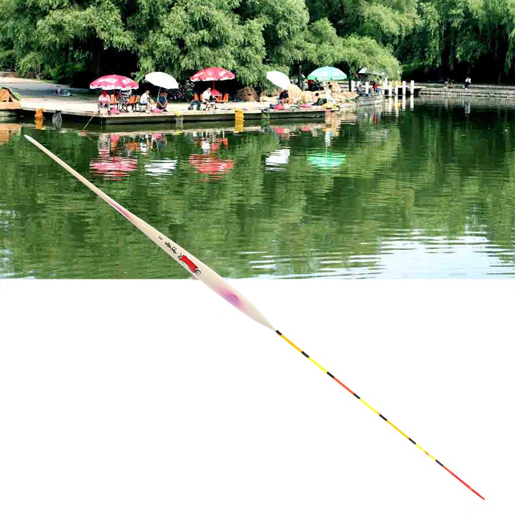 DHWEKU Galleggianti Da Pesca In Schiuma - Set Da 10 Pezzi, Pesi Diversi (0.6g-4.5g)