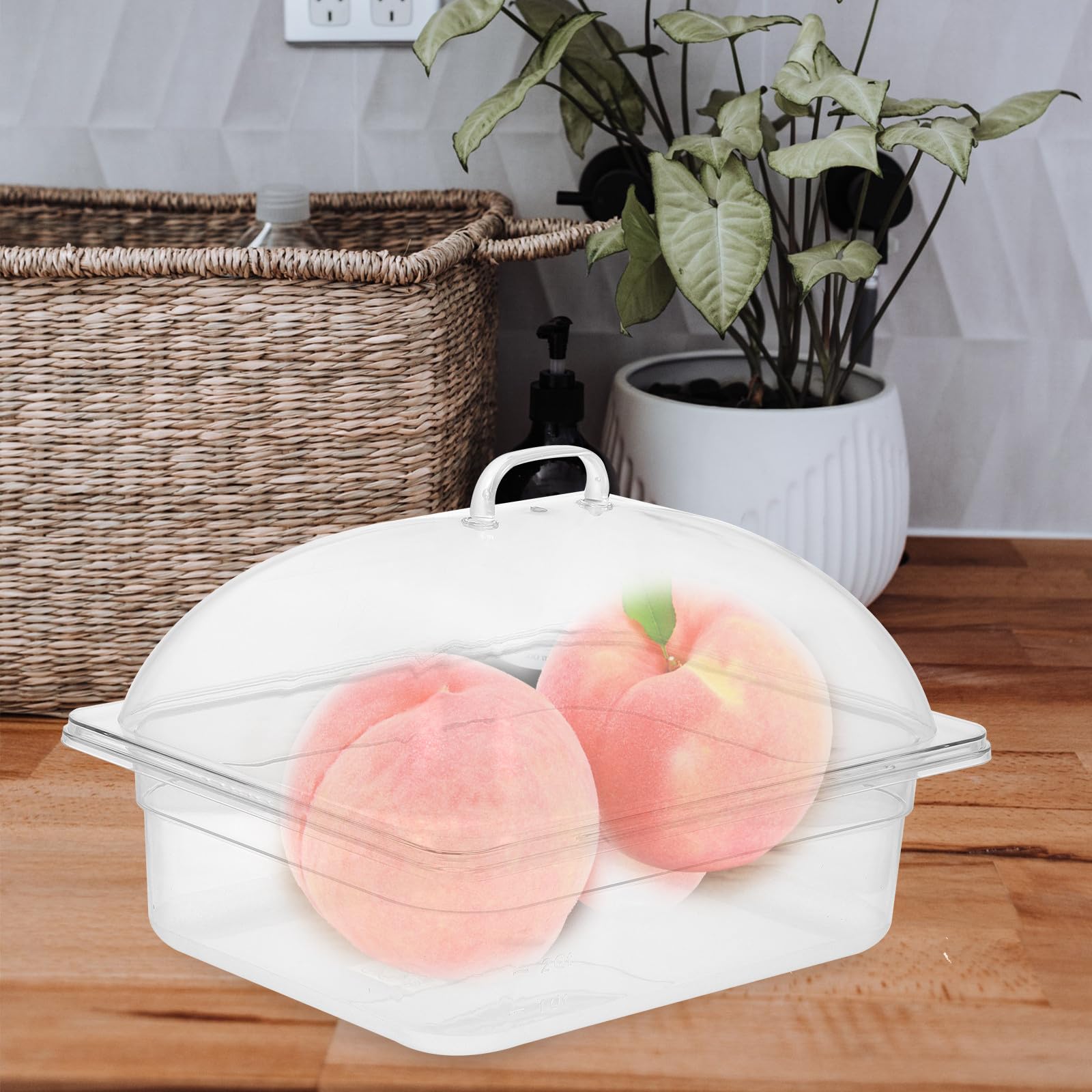 Vassoio multifunzione da 5 l per conservare alimenti con coperchio, piatto per frutta e buffet, per uso domestico e alberghiero, mantiene il cibo fresco e nizzato, ideale per feste ed eventi