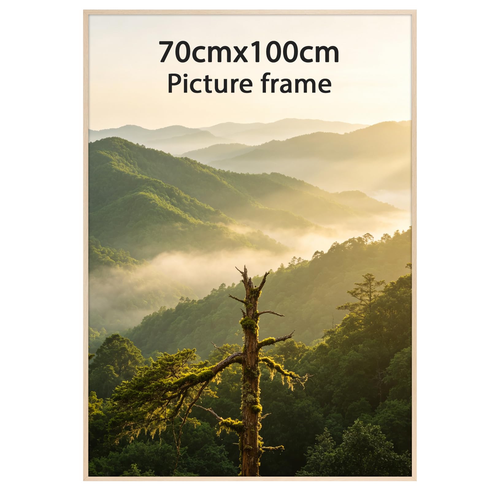 Ditwis 70x100 Picture Frame Aluminium Wood Colour — image 1
