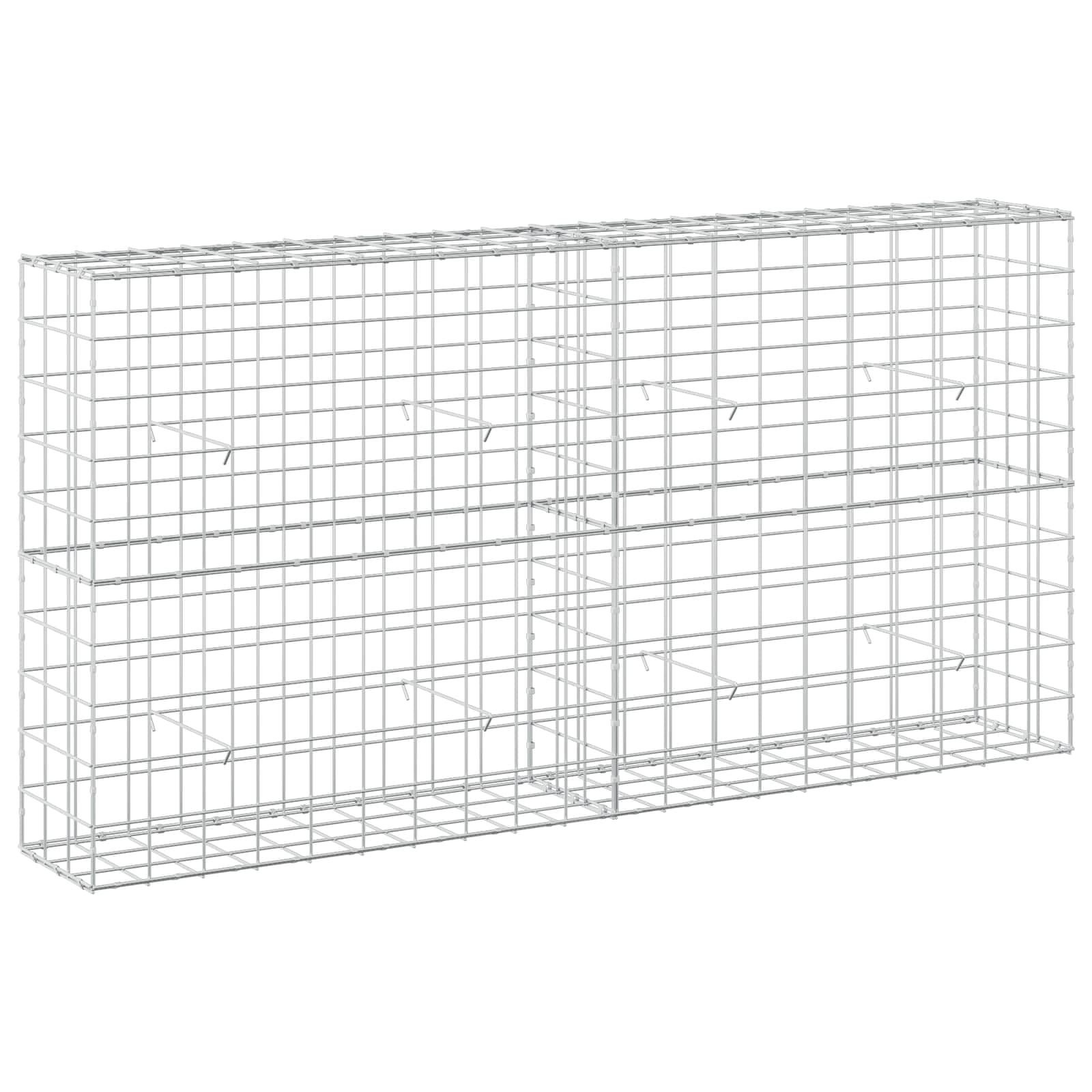 vidaXL Gabion with 5 mm Wire and 10x10 cm Mesh 200x30x100 cm
