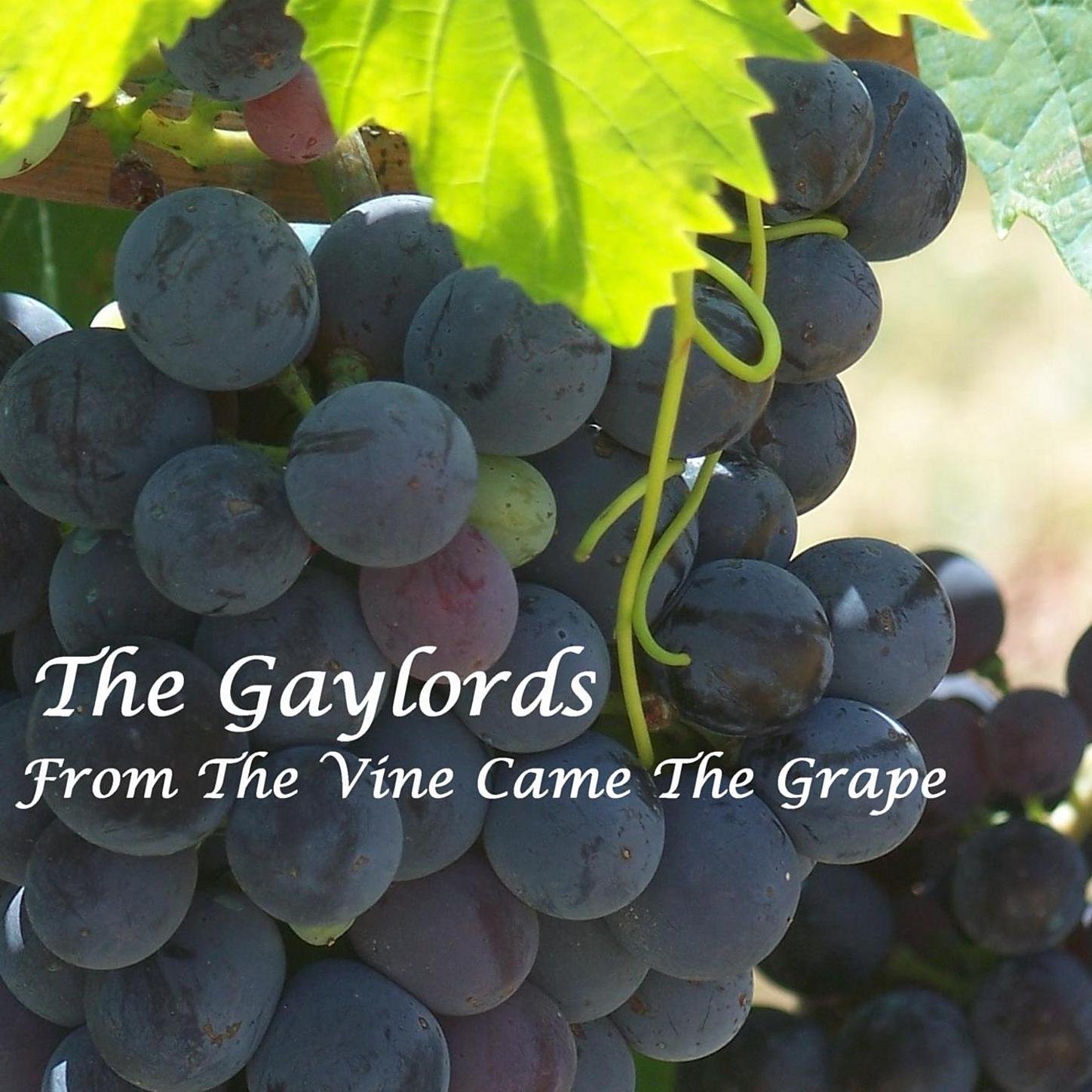 The Gaylords