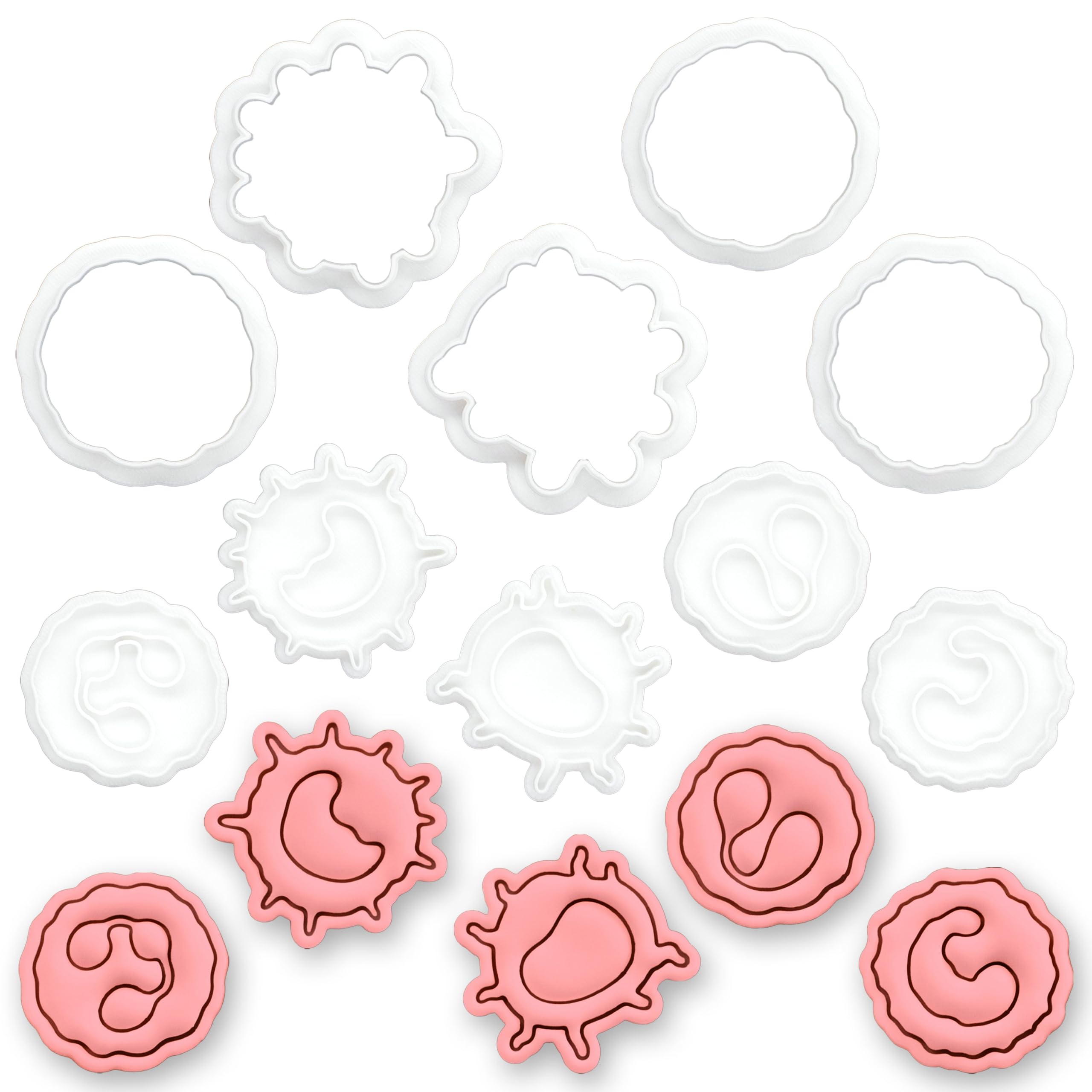 BAKERLOGY Set aus 5 Weiße Blutzellen Mini Keksausstechern & Stempeln – Neutrophiler, Monozyt, Lymphozyt, Eosinophiler & Basophiler Granulozyt Ausstechformen für Immunologie, Hämatologie & Medizin