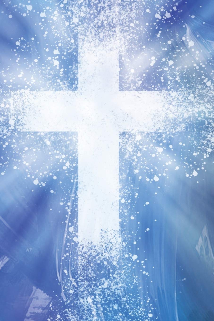 Password Log Book: A Discreet Premium Journal and Tracker to Protect Your Internet Usernames and Passwords. Online Organizer. Password Keeper.