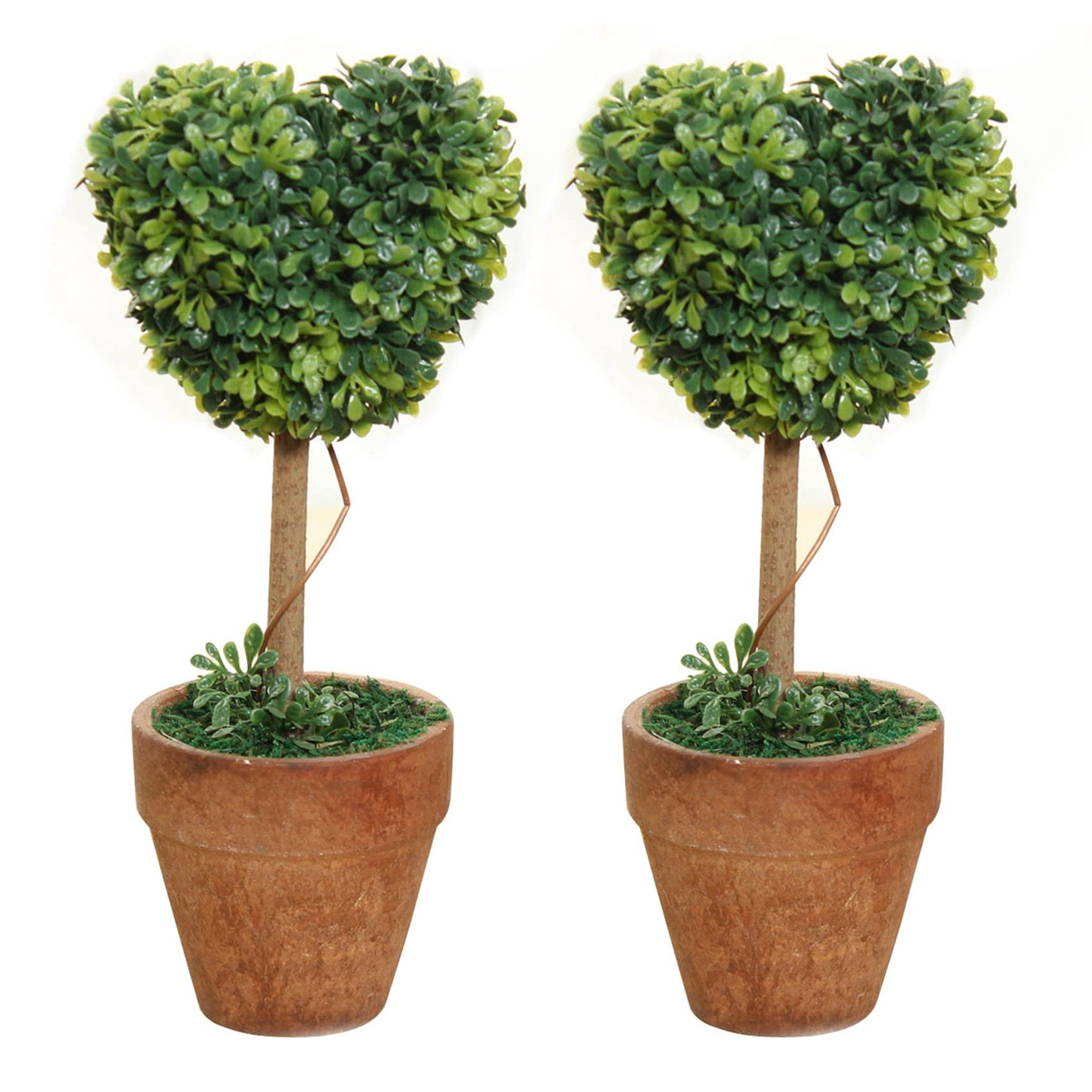 Potadak 2X Plastic Garden Grass Ball Topiary Tree Pot Dried for Wedding (Heart-Shaped)