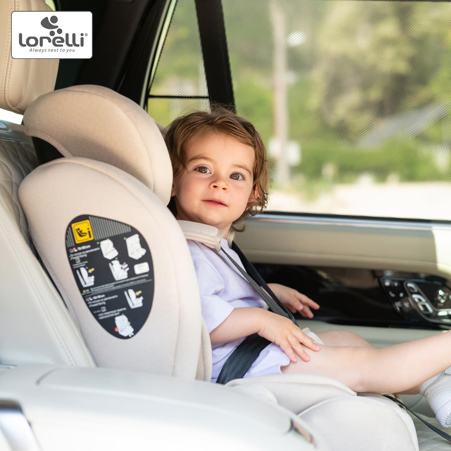 Lorelli Auto Kindersitz 9-36kg Adventure i-Size 76-150 cm, mitwachsender Autositz für Kinder, Babysitz, Autokindersitz, Einstellbare Kopfstütze, 5-Punkt-Sicherheitsgurt, ginger