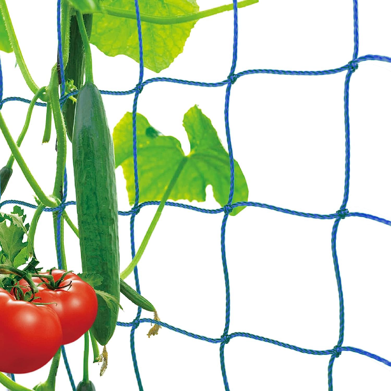 Trellis Netting for Climbing Plants (6 x 15 Feet) and 5x5cm- Heavy Duty Garden Trellis Netting for Cucumber, Vine, Fruits & Vegetables Tomato Plants Trellis Net, Climbing Vining Plants (B0CMWTSK3N) Amazon Price History, Amazon Price Tracker