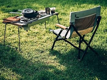 Amazon.co.jp: スノーピーク(snow peak) チェア ローチェア30 ショート