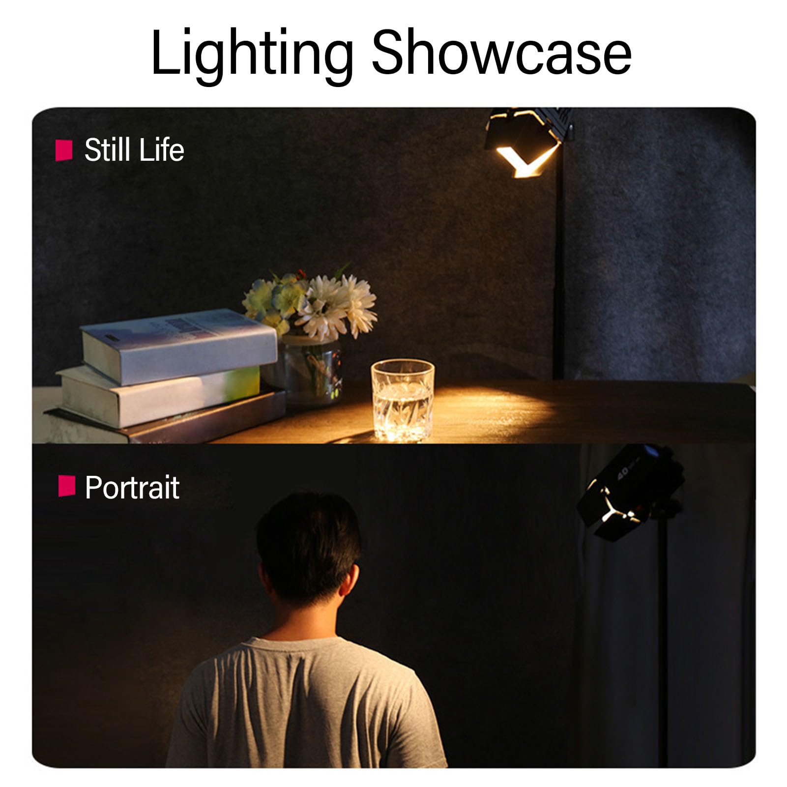 VBESTLIFE PRISTIER DE LA Ligne À Quatre Leaf pour LA Lumière Vidéo, pour Mini Bowens Mount, Compact et Portable, pour Les Portraits, LA Nature Morte et Le Vlogging
