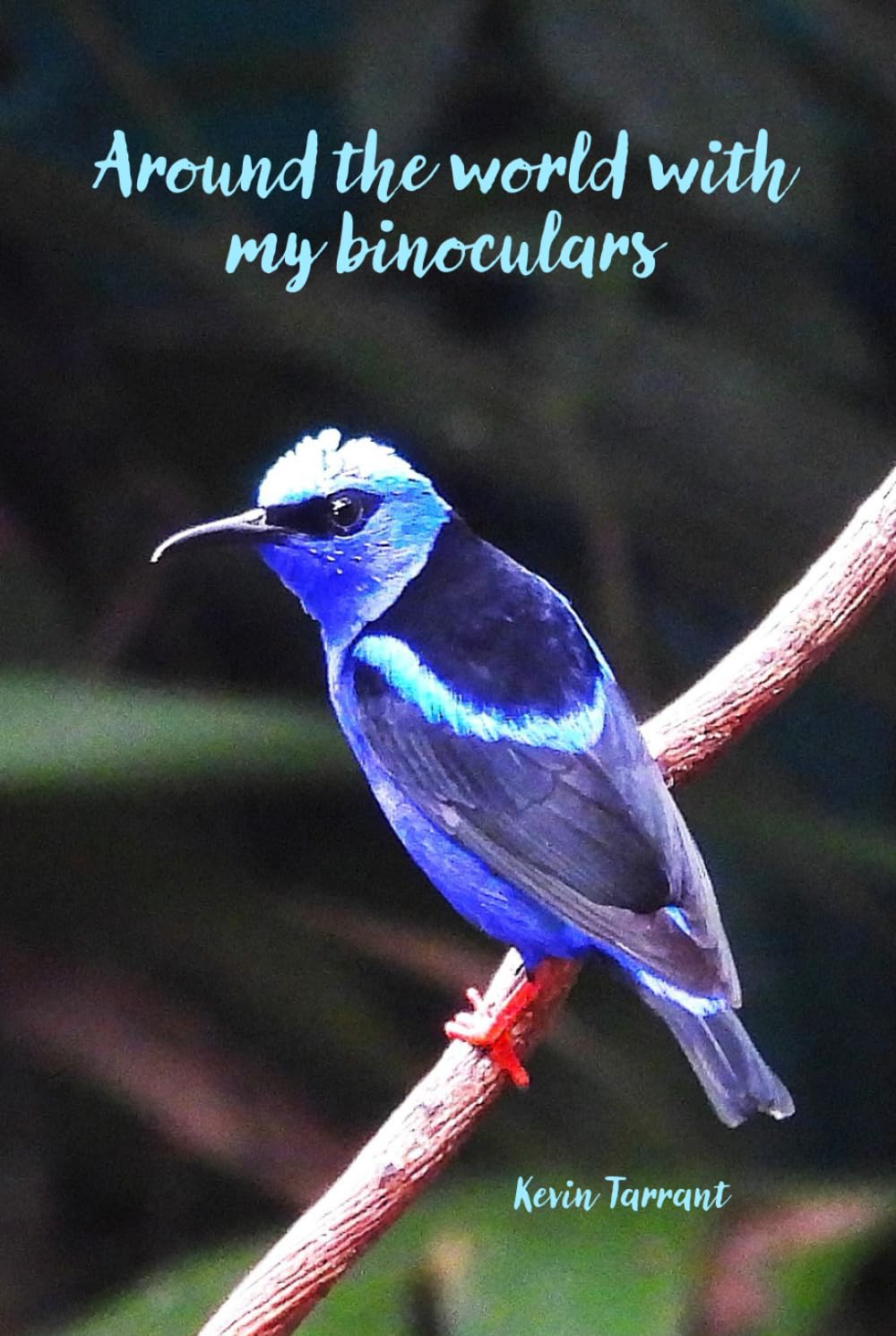 Around the World with my binoculars