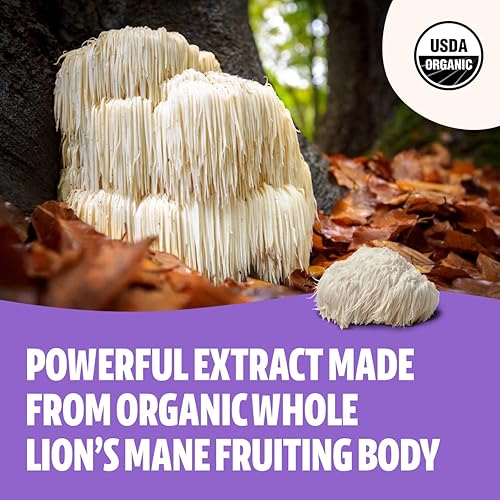 Miniatura 3 de FreshCap Polvo de cerebro y concentración de hongos de melena de león orgánico - Suplemento de 212oz - Claridad mental y enfoque - Añadir al