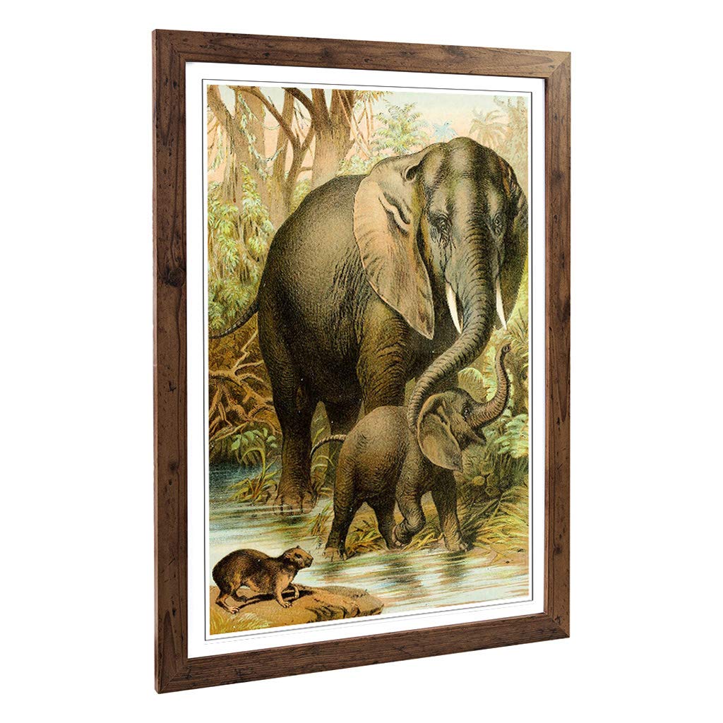 Big Box Art Framed Print of Vintage African Elephants & Hyrax Design | Wall Art Picture | Home Decor for Kitchen, Living Room, Bedroom, Hallway, Walnut, A2 / 24.5x18 Inch / 62x45cm