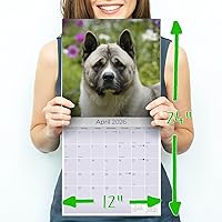 Vista 514 de Razas de Perros 2017