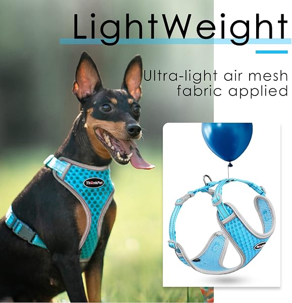ThinkPet Reflective Breathable Soft Air Mesh No Pull Puppy Choke Free Over Head Vest Ventilation Harness Leash Set for Puppy Small Medium Dogs Light Blue L - 3