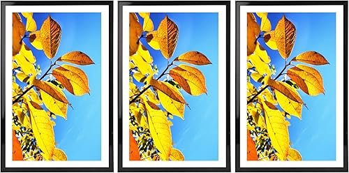 Miniatura 9 de Aynoo Marco negro para póster de 11 x 17 pulgadas, para fotos de 11 x 17 o 9 x 15 pulgadas, marco de collage para montaje en pared, negro, paquete