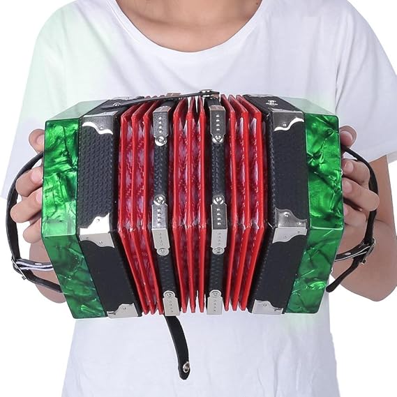 Accordion, Professional 20 Button Accordion Concertina for Kids/Adults, Musical Instrument Accessories /141/1599