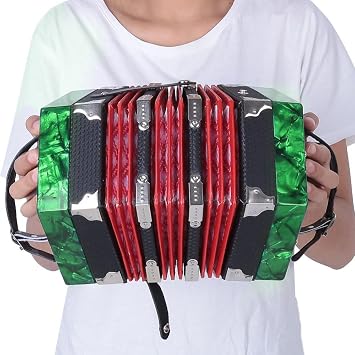 Accordion, Professional 20 Button Accordion Concertina for Kids/Adults, Musical Instrument Accessories /141/1599