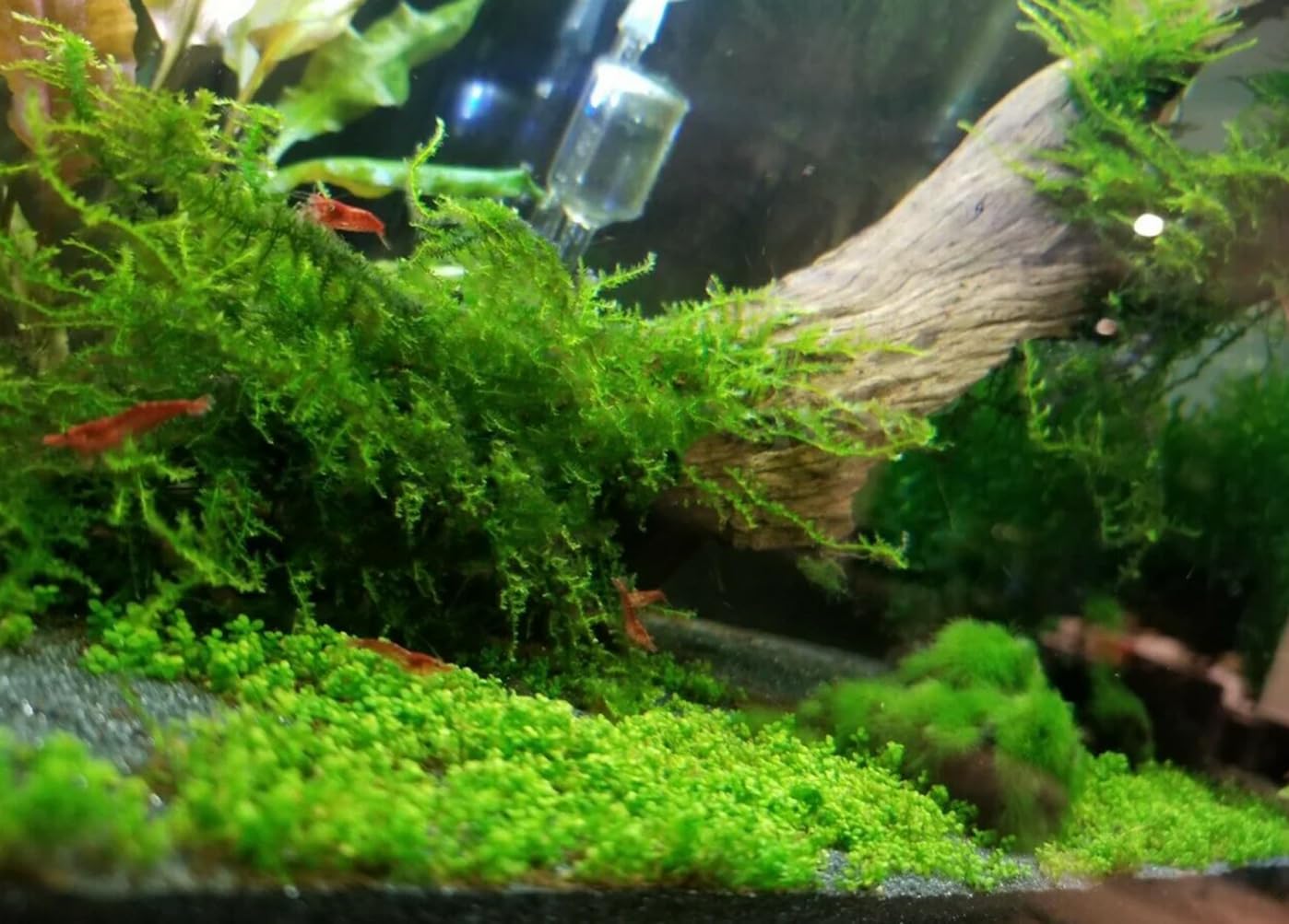 View 3