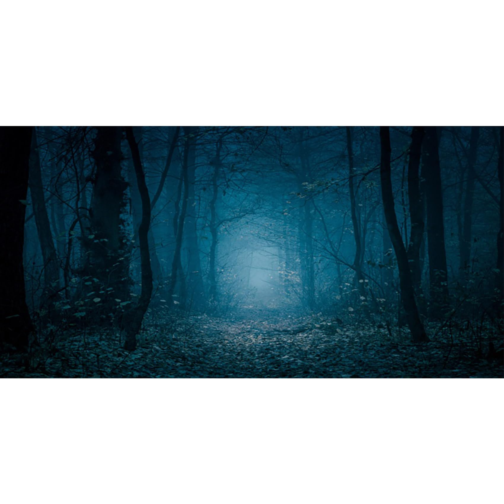 MIRRORANG 61x41cm Goth Aquarium Background Forest Trees Night Halloween Vinyl Durable Spooky Background for 20 Gallon Fish Tanks