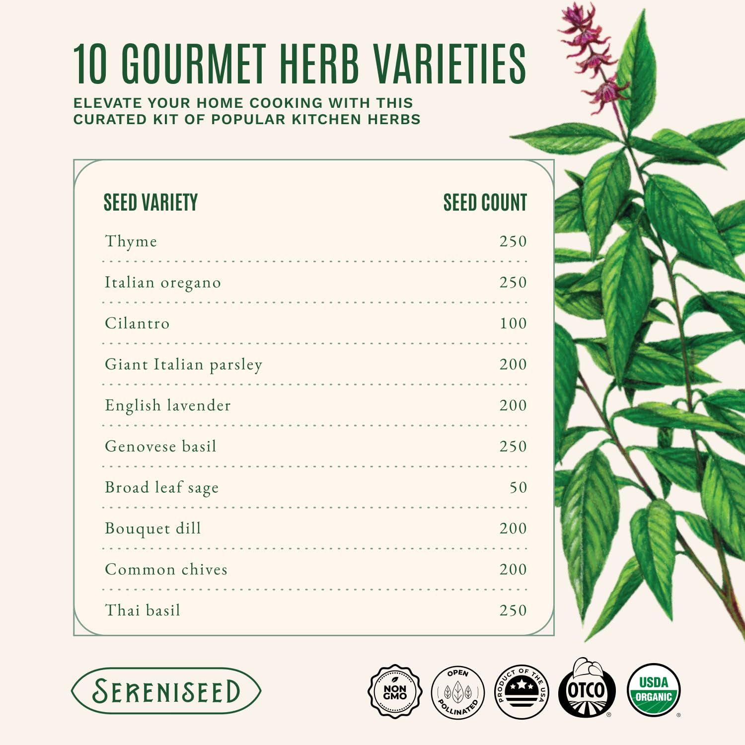 Organic Herb Seeds - Grow Your Own Kitchen Herbs -2 Organic Herb Seeds - Grow Your Own Kitchen Herbs -2