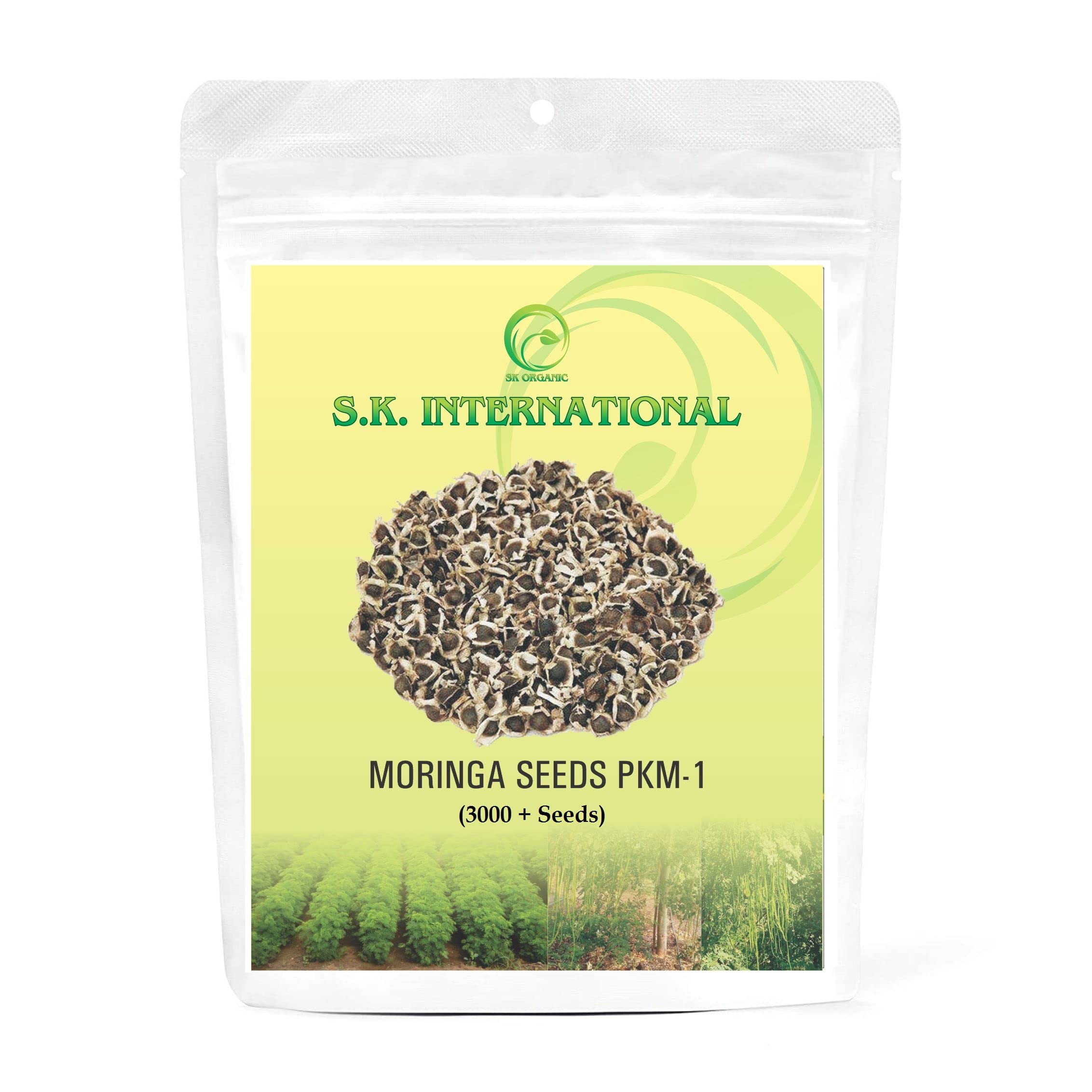 SK ORGANIC Moringa Seeds PKM1 Drumstick Seeds (3000 + seeds) (Sahjan ki falli,Saragavo, murungi) (B09SGK67DT) Amazon Price History, Amazon Price Tracker