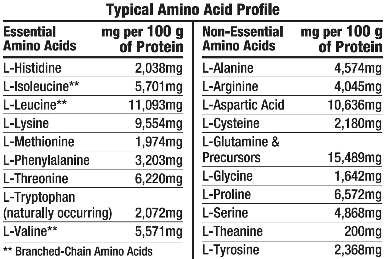 Healthy ‘N Fit 100% WHEY PRO-AMINO v2.0-Chocolate (2lb): 100% Whey Protein PLUS Peptides From America’s #1 Brand in Supplements, Technology and Purity. — Amazon image 4