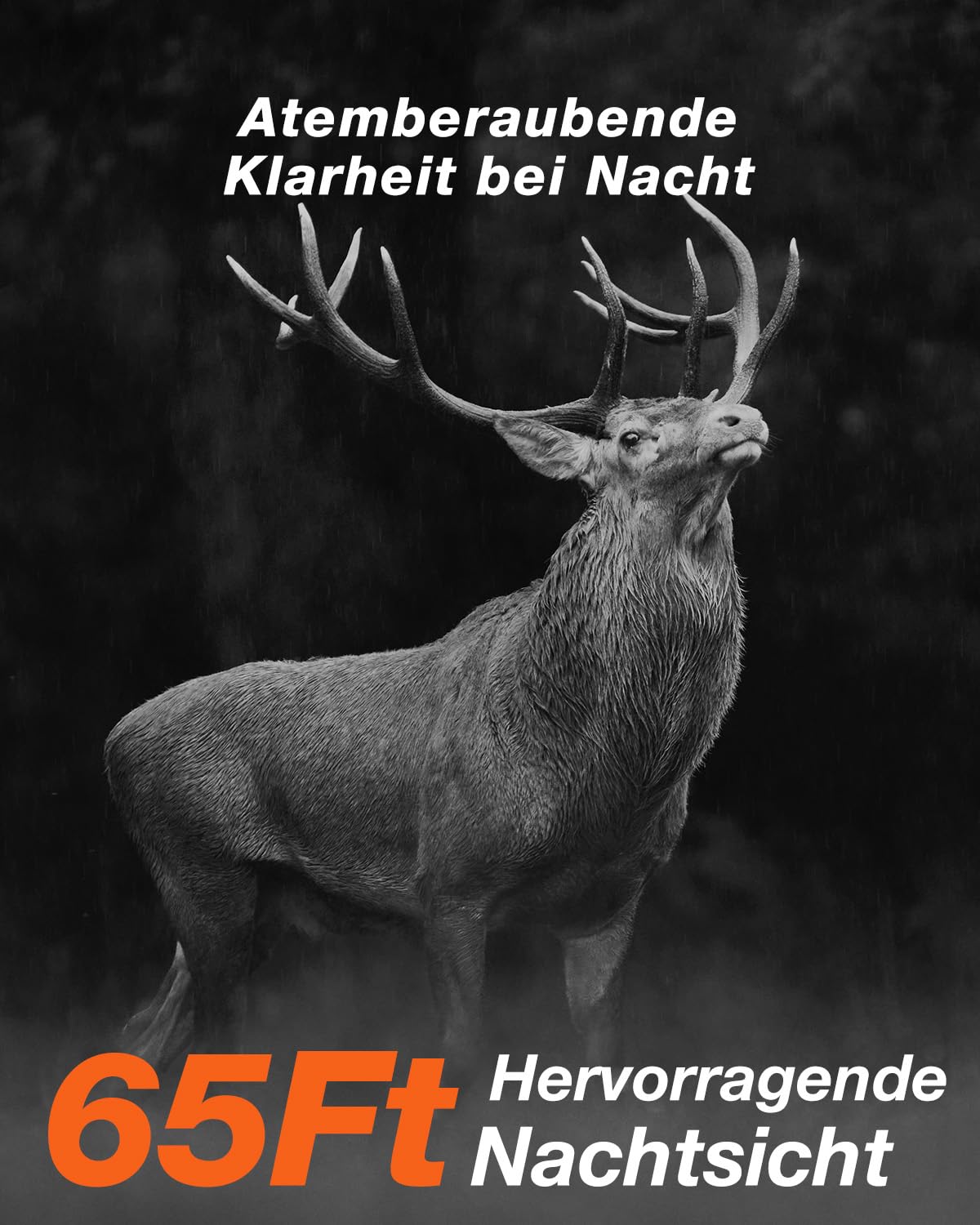 iZEEKER Solar Wildkamera 4K 64MP mit Handyübertragung App, WLAN & Bluetooth Wildtierkamera mit Bewegungsmelder Nachtsicht, Solar Tierkamera mit 5200mAh Akku, IP66, 0.3s Auslösezeit