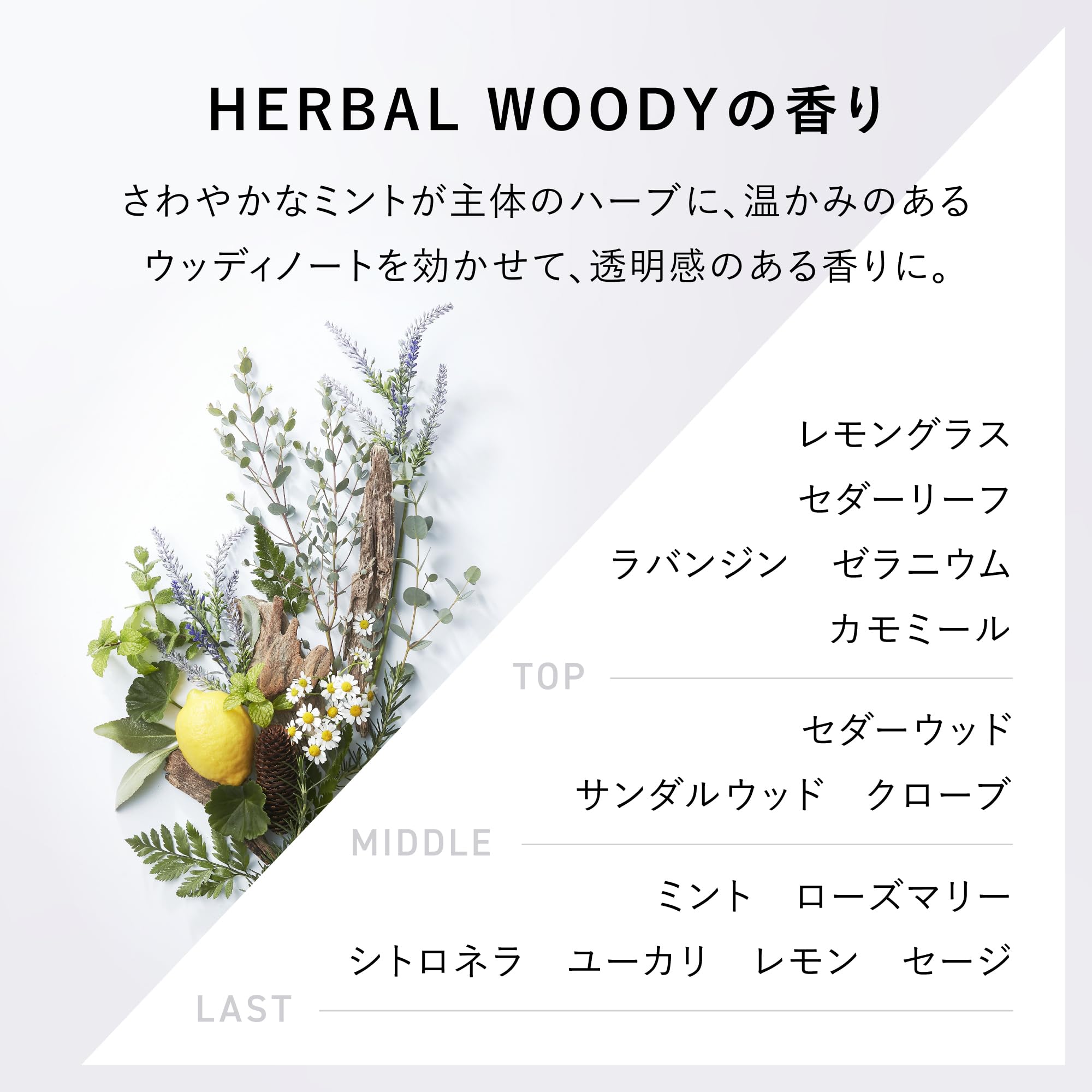 Amazon.co.jp: 【Official】&be (アンドビー) Take Down Shampoo