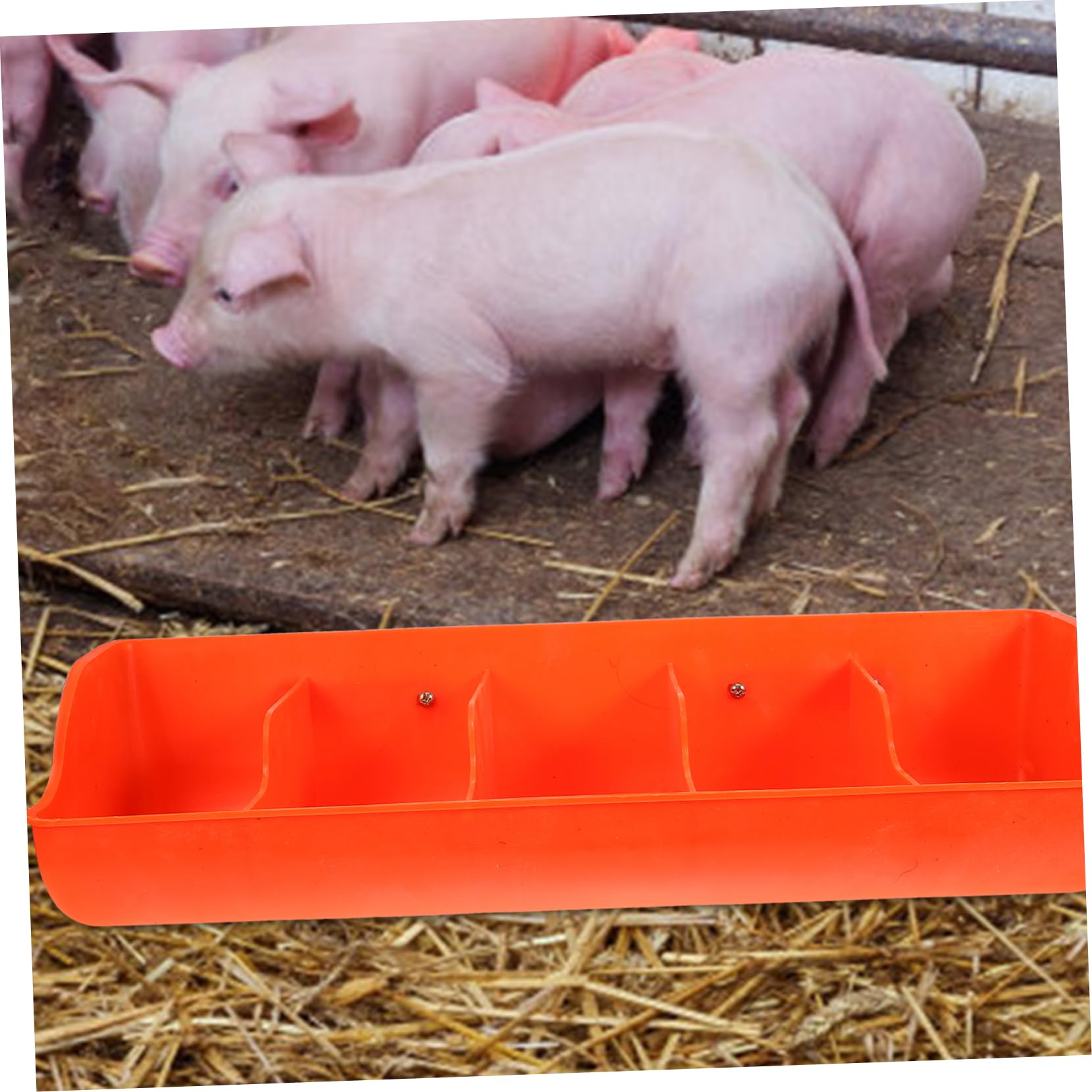 Ferkelfuttertrog Schafe Futterkrippe Ziegentrog Kalb Schweinefuttertrog Futterautomat für Schweine Hühnerfutter Futtertrog Eimer Mehrere Steckplätze Futtertank Heu Zubringer