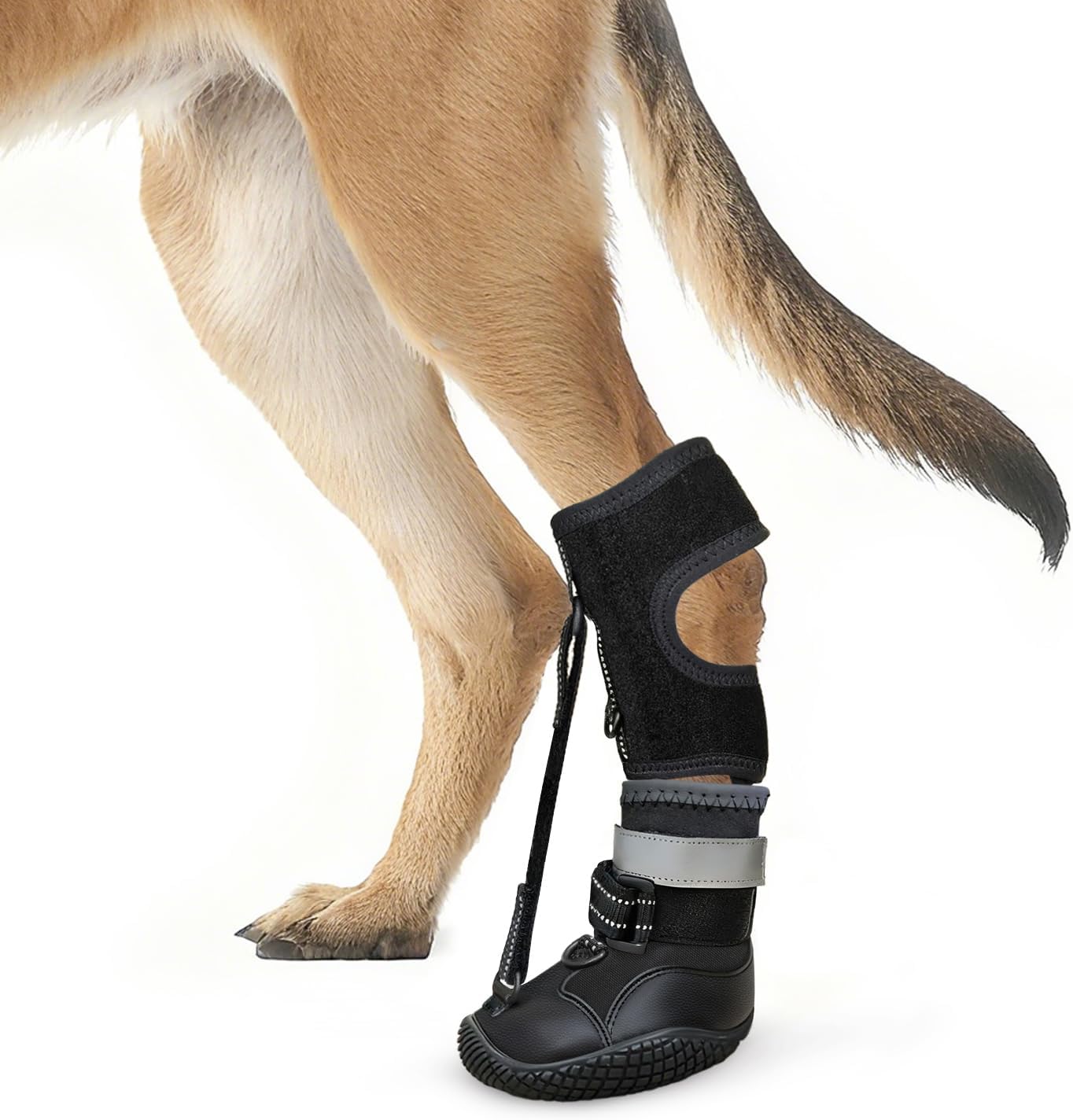 Idepet Dog Drop Foot Brace Strap On (No Knuckling Boot Brace) — Dog Boot Leg Braces for Leg Support, Dog Shoes Lift Toes for Foot Issues, Arthritis, Pet Corrector for Dogs (8)