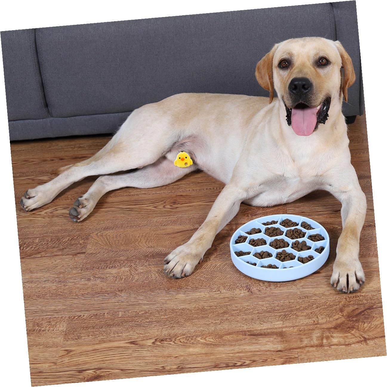SHINEOFI Anti Erstickungs Hundeschüssel Silikon Slow Feeder Napf rutschfest Für Kleine Hunde Und Katzen Haustierbedarf