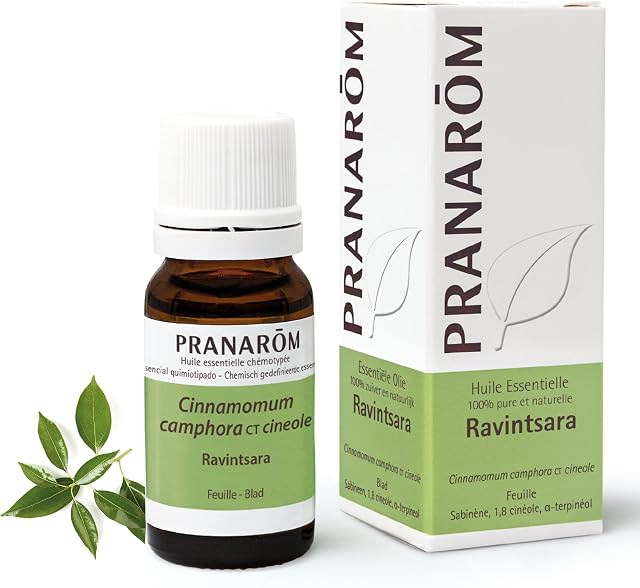 PRANAROM Aceite Esencial Ravintsara 10 ml – Confort Respiratorio HECT Puro | 100% puro y quimiotipado HECT. Confort respiratorio y defensas naturales en aromaterapia.