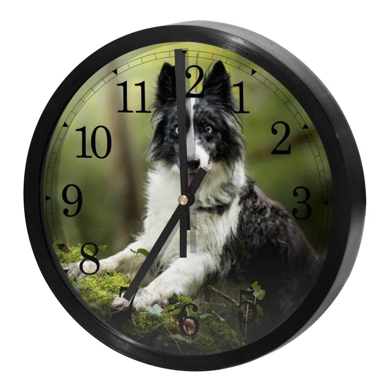 Horloge murale silencieuse à quartz Border Collie idéale pour l'école