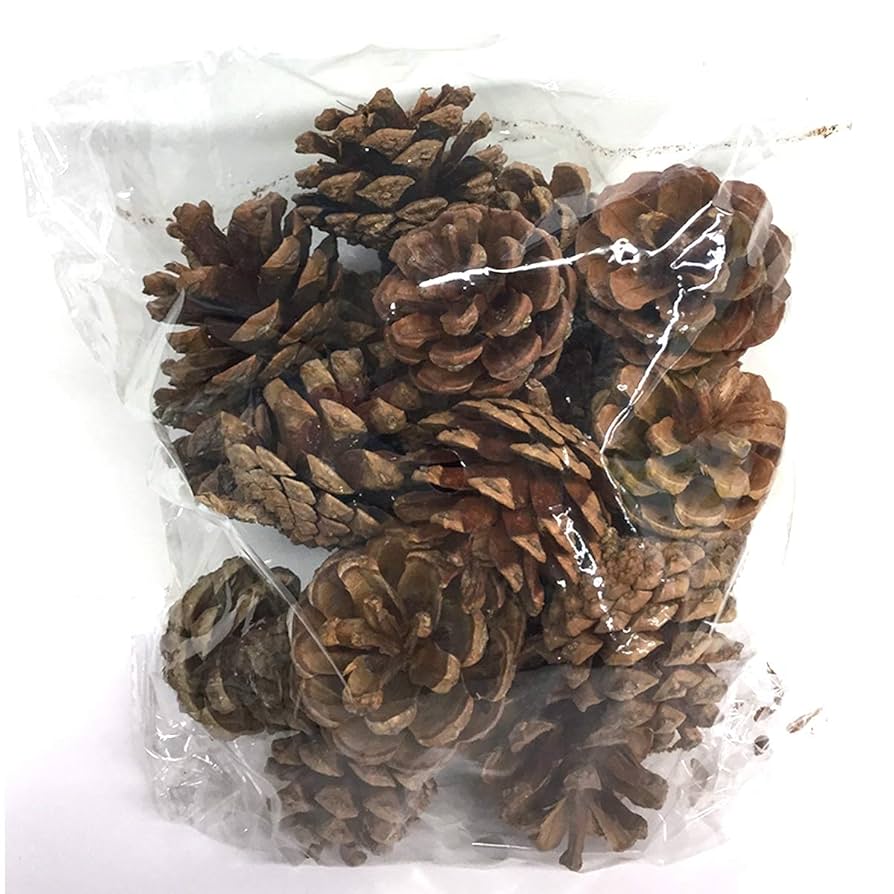 フェラガモ　スカーフ　ペンギン　　木の実　松ぼっくり フェラガモ スカーフ ペンギン 木の実 松ぼっくり - メルカリ