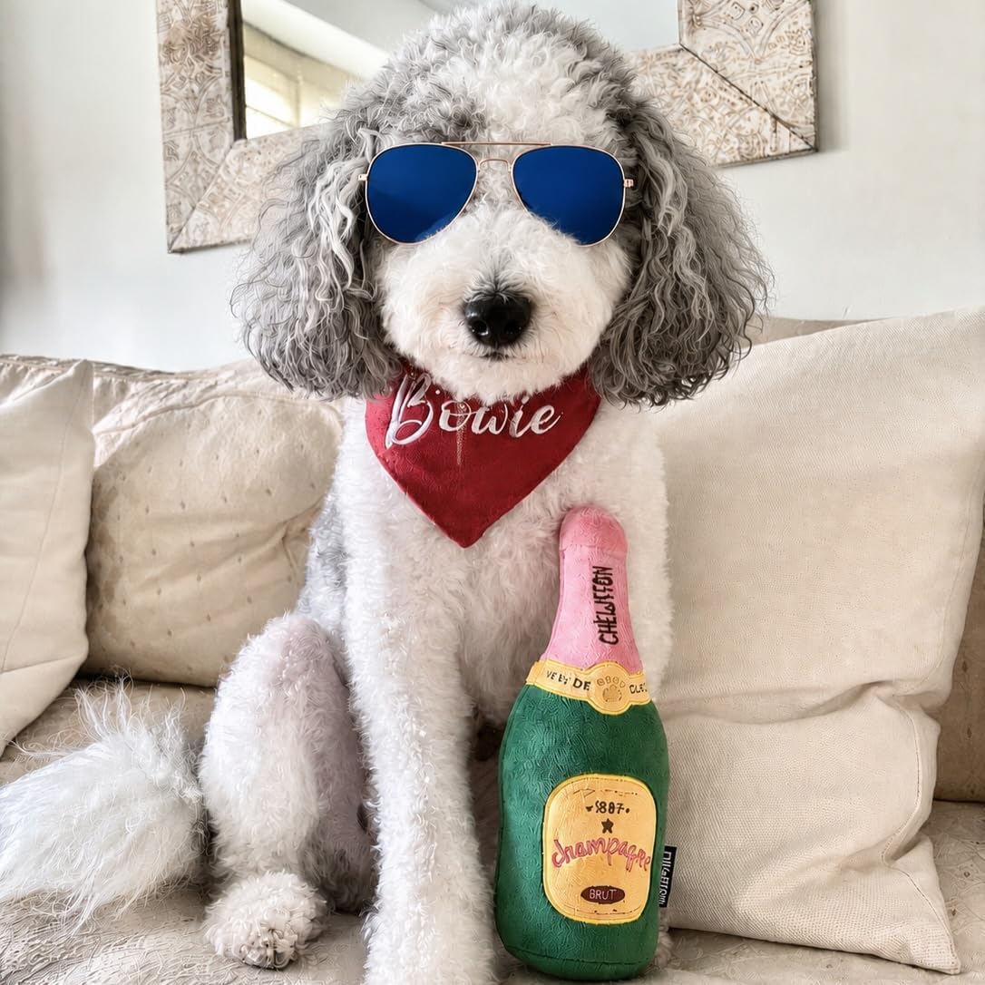 CHEWFFON Enrichment Dog Toys, Interactive Squeaky Champagne Bottle Puppy Toy for Boredom, Plush Present Birthday Toy for Small and Medium Dogs